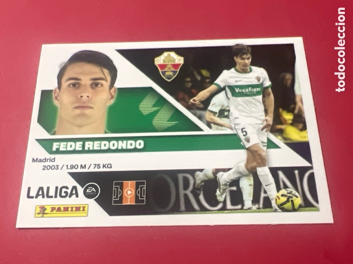 Cromos de f&uacute;tbol: C6635. 13 A 13A FEDE REDONDO ELCHE PANINI LIGA ESTE 26 27 2026 2027