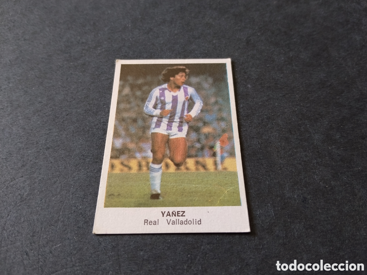 Football Stickers: Cromo futbol 84 Y&aacute;&ntilde;ez, Real Valladolid
