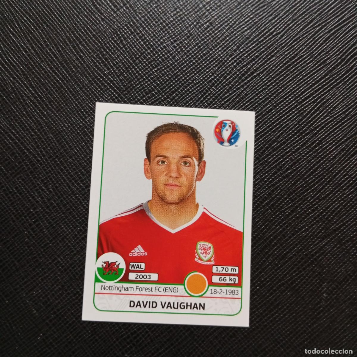 Cromos de f&uacute;tbol: 189 DAVID VAUGHAN GALES PANINI EURO EUROCOPA FRANCIA 2016 CROMO FUTBOL 16 - SIN PEGAR