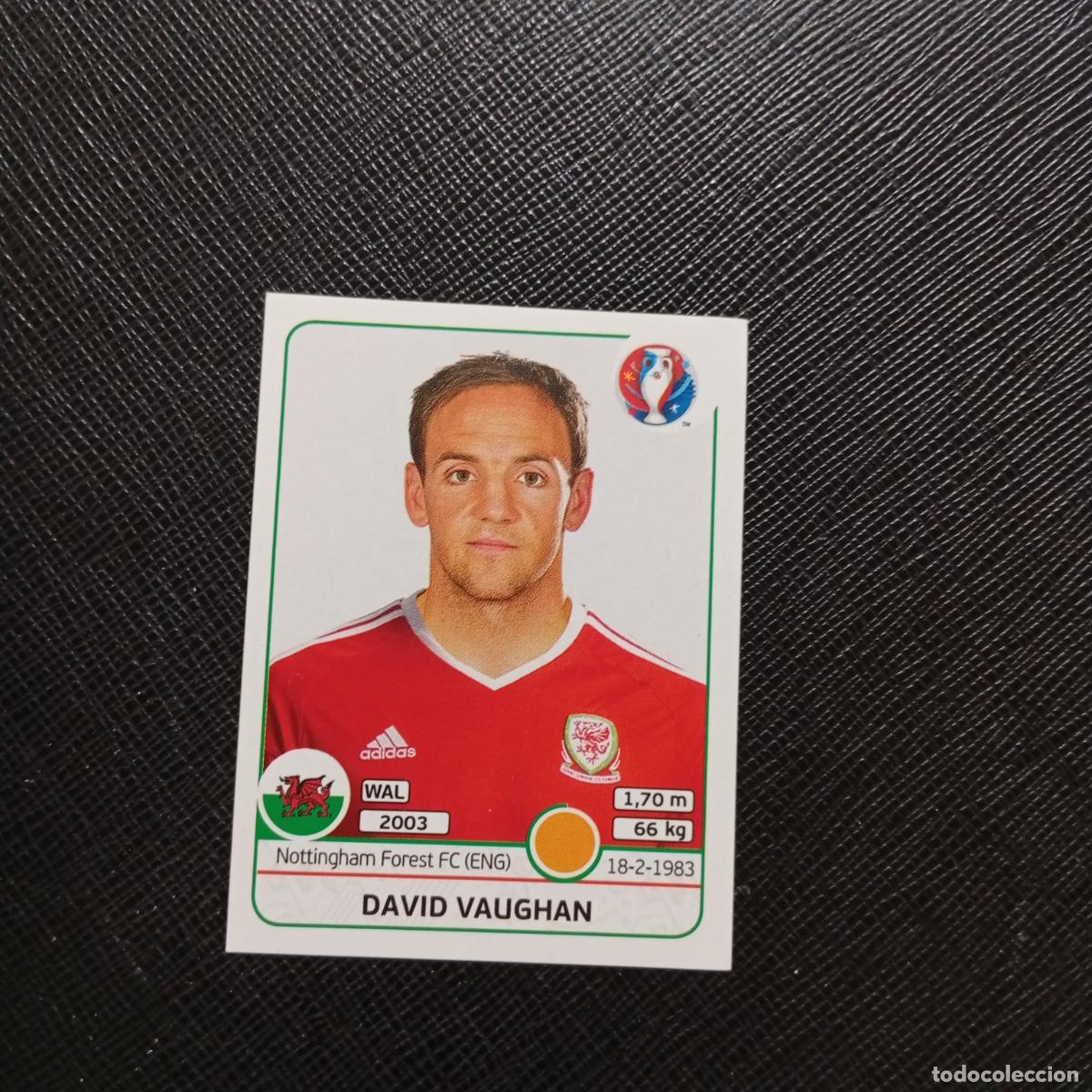 Cromos de f&uacute;tbol: 189 DAVID VAUGHAN GALES PANINI EURO EUROCOPA FRANCIA 2016 CROMO FUTBOL 16 - SIN PEGAR