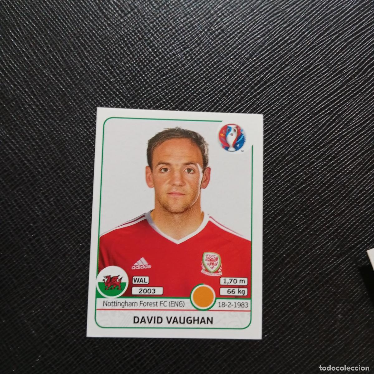 Cromos de f&uacute;tbol: 189 DAVID VAUGHAN GALES PANINI EURO EUROCOPA FRANCIA 2016 CROMO FUTBOL 16 - SIN PEGAR