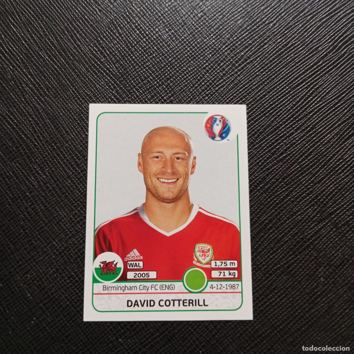 Cromos de f&uacute;tbol: 197 DAVID COTTERILL GALES PANINI EURO EUROCOPA FRANCIA 2016 CROMO FUTBOL 16 - SIN PEGAR