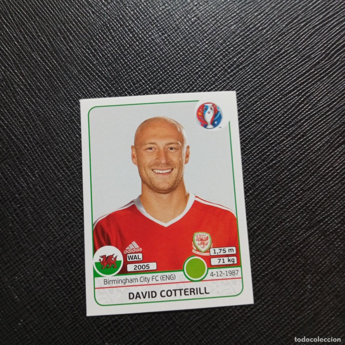 Cromos de f&uacute;tbol: 197 DAVID COTTERILL GALES PANINI EURO EUROCOPA FRANCIA 2016 CROMO FUTBOL 16 - SIN PEGAR