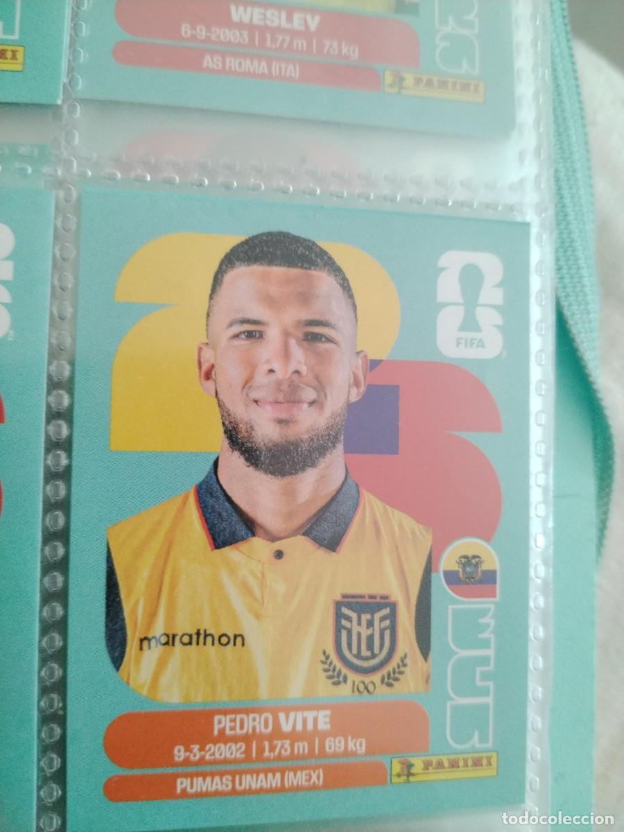 Cromos de f&uacute;tbol: CROMO MUNDIAL 2026 - ECUADOR ECU 12