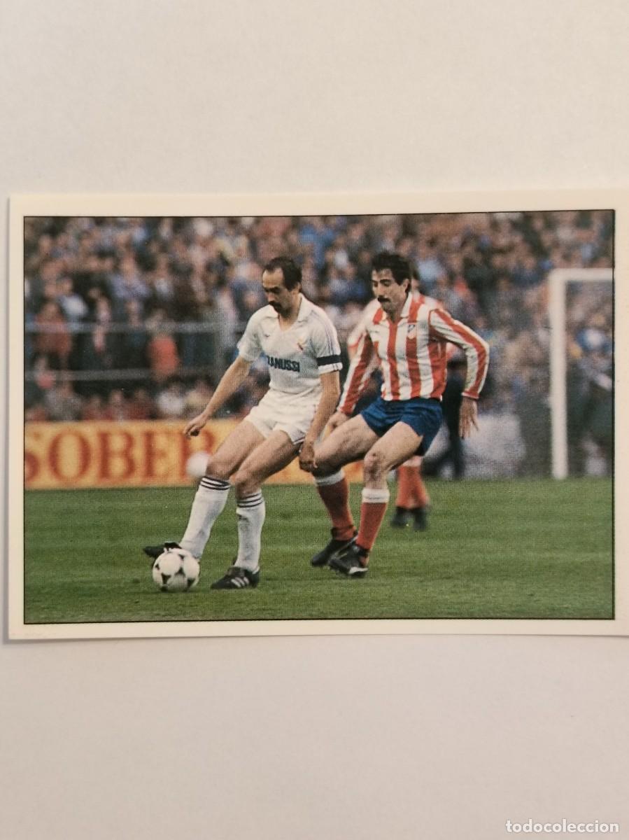 Cromos de f&uacute;tbol: #84 STIELIKE COLECCION REAL MADRID 95/96 PANINI