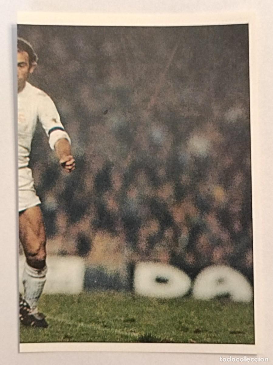 Figurine di Calcio: #142 PIRRI COLECCION REAL MADRID 95/96 PANINI