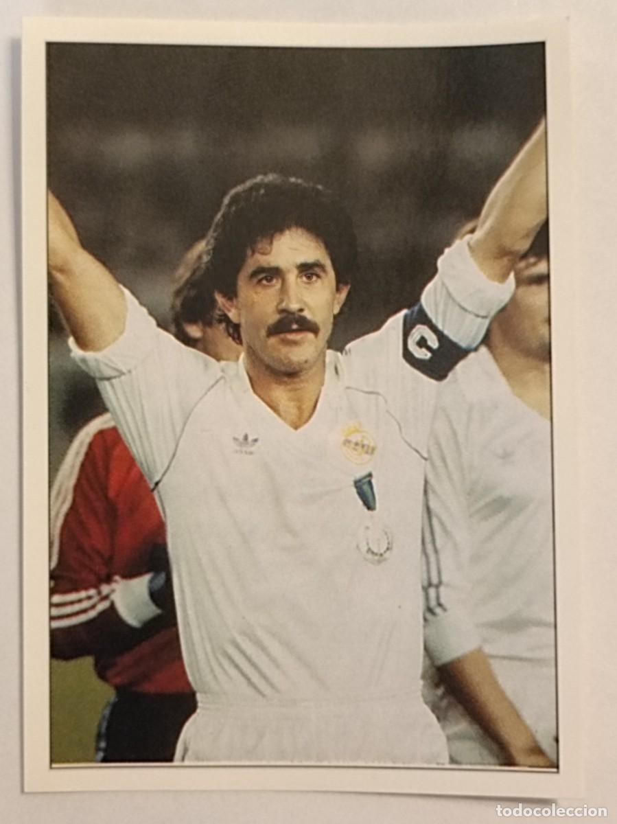 Cromos de f&uacute;tbol: #144 BENITO COLECCION REAL MADRID 95/96 PANINI