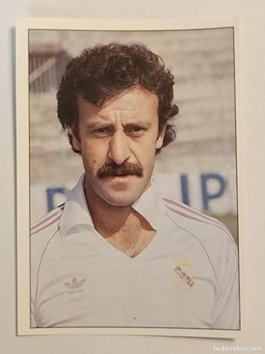 Cromos de f&uacute;tbol: #149 DEL BOSQUE COLECCION REAL MADRID 95/96 PANINI