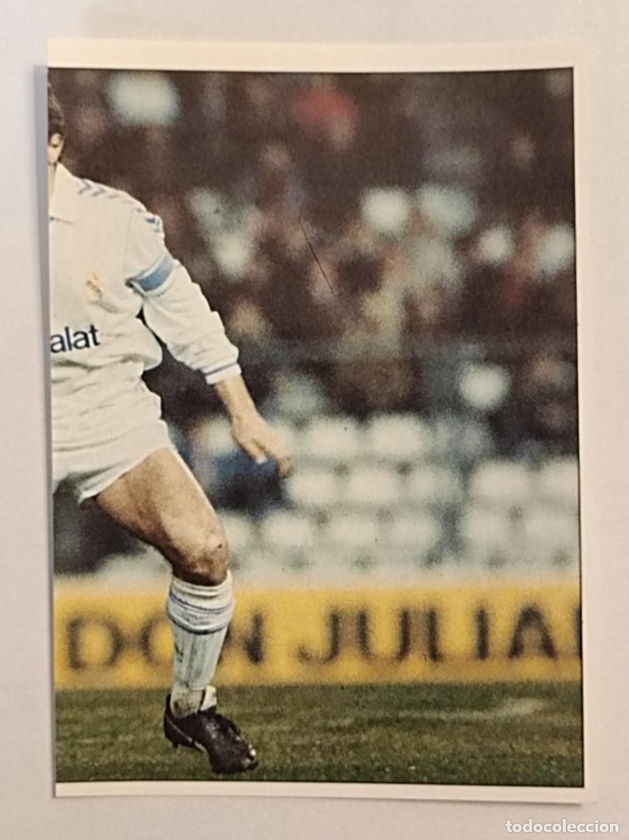 Figurine di Calcio: #151 CAMACHO COLECCION REAL MADRID 95/96 PANINI