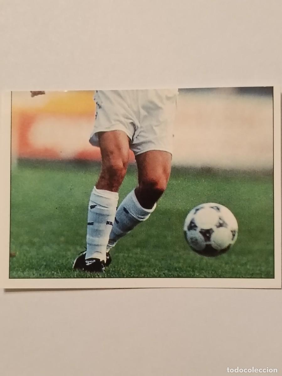 Cromos de f&uacute;tbol: #195 SANCHIS COLECCION REAL MADRID 95/96 PANINI