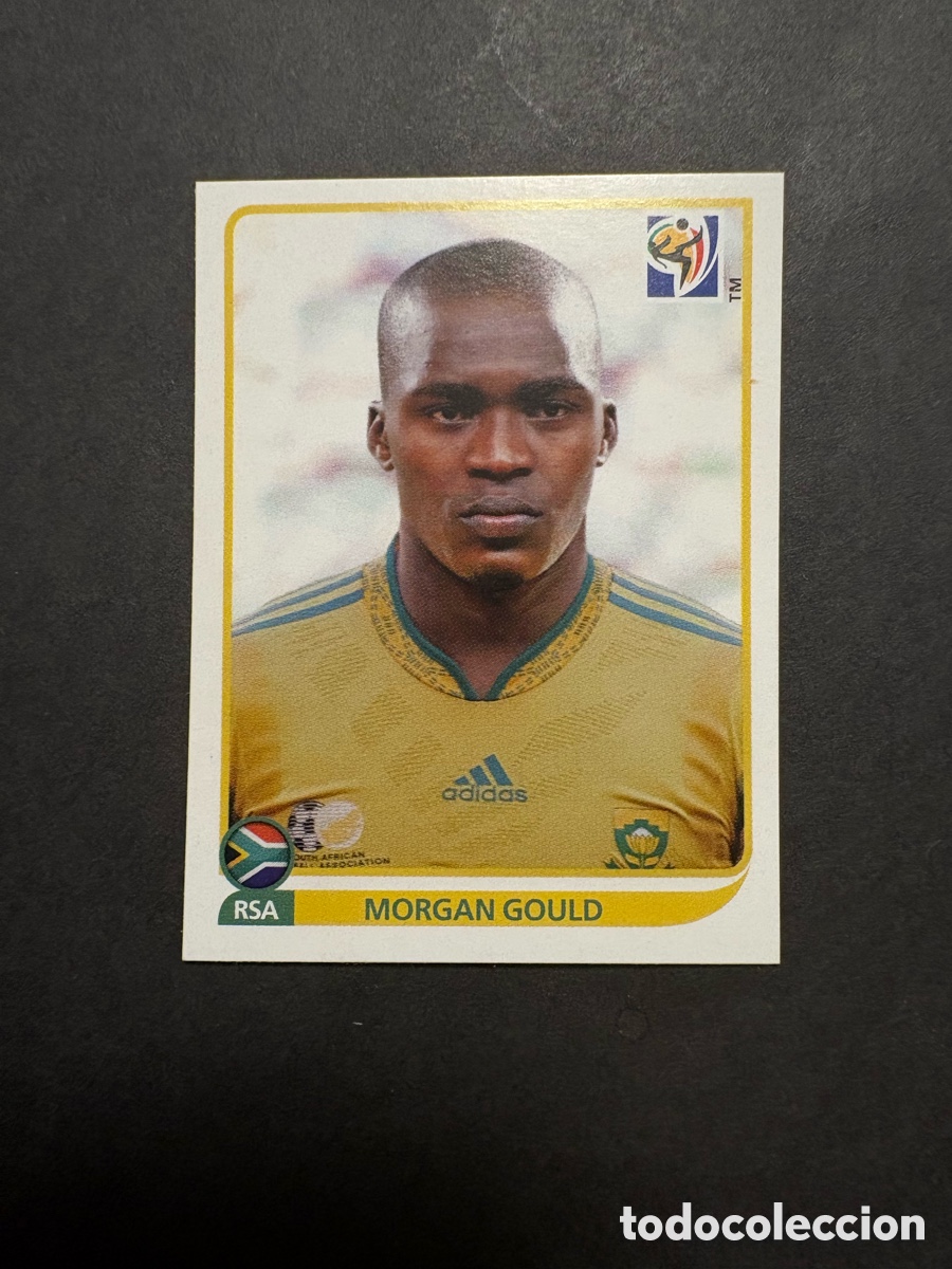 Cromos de f&uacute;tbol: 36 GOULD PANINI MUNDIAL 2010 WORLD CUP - SUD&Aacute;FRICA -- CROMO 10 NUEVO DE SOBRE