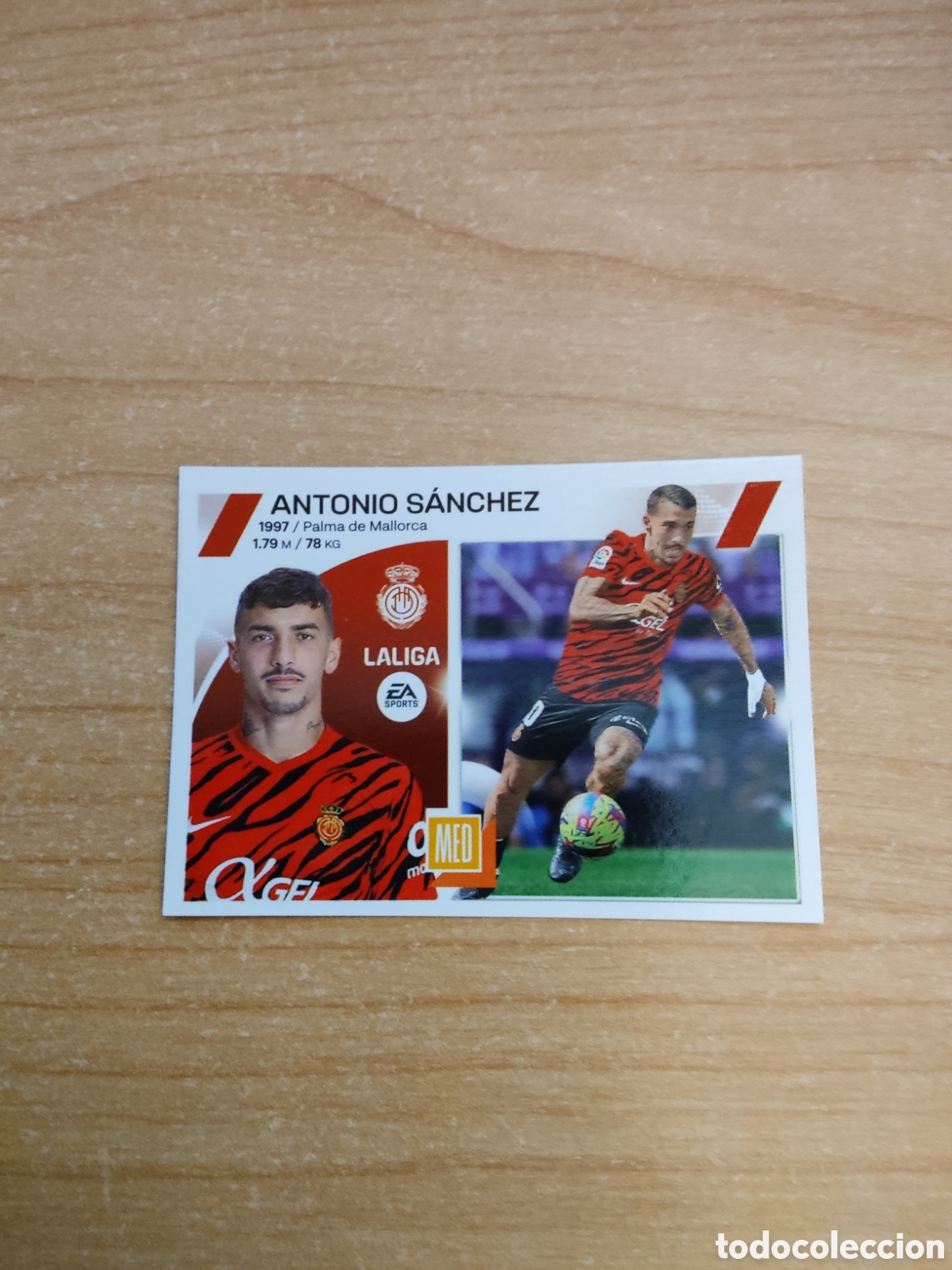 Cromos de f&uacute;tbol: 13 ANTONIO SANCHEZ MALLORCA LIGA ESTE 2023 2024