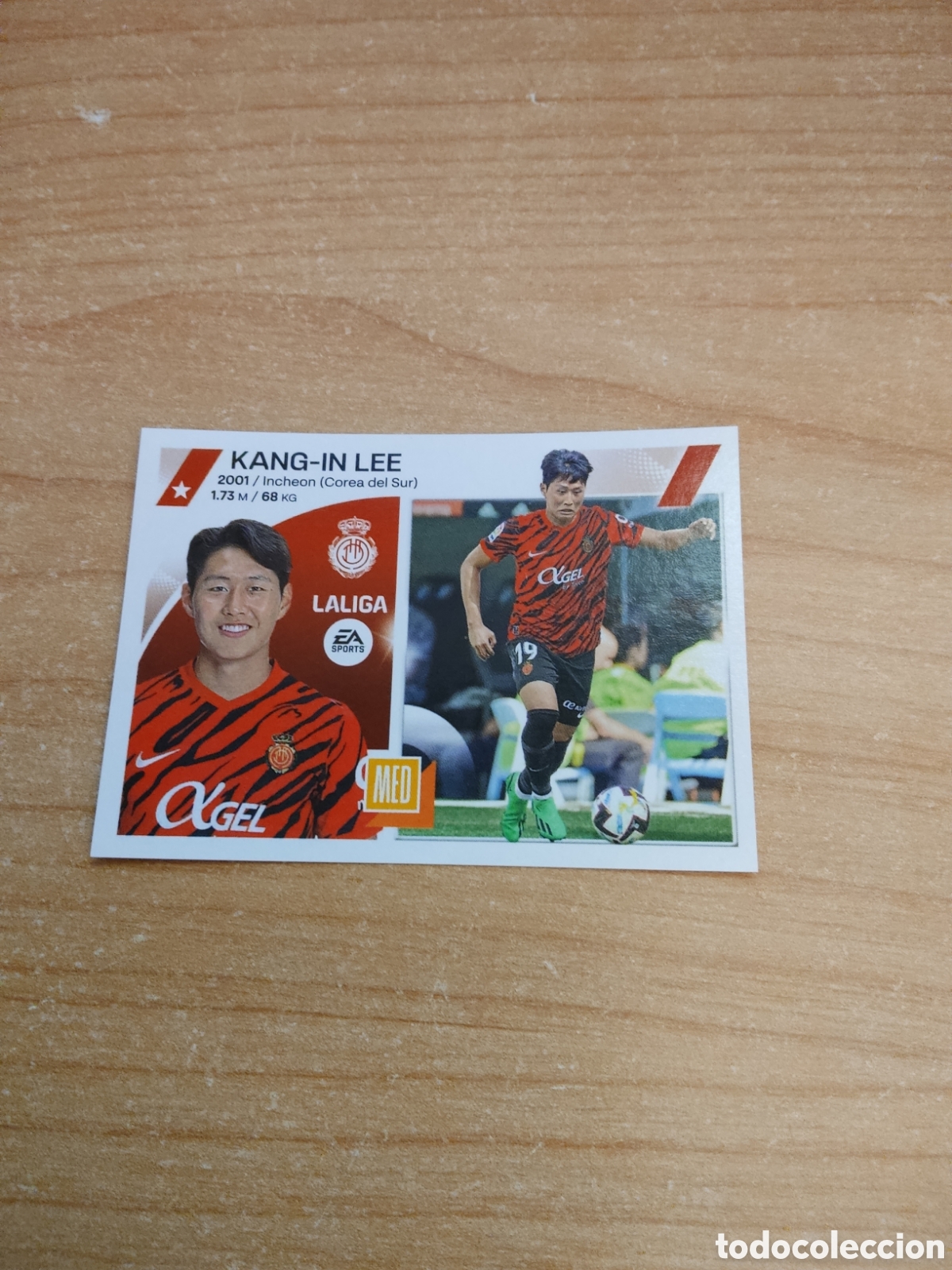 Cromos de f&uacute;tbol: 15 KANG IN LEE MALLORCA LIGA ESTE 2023 2024