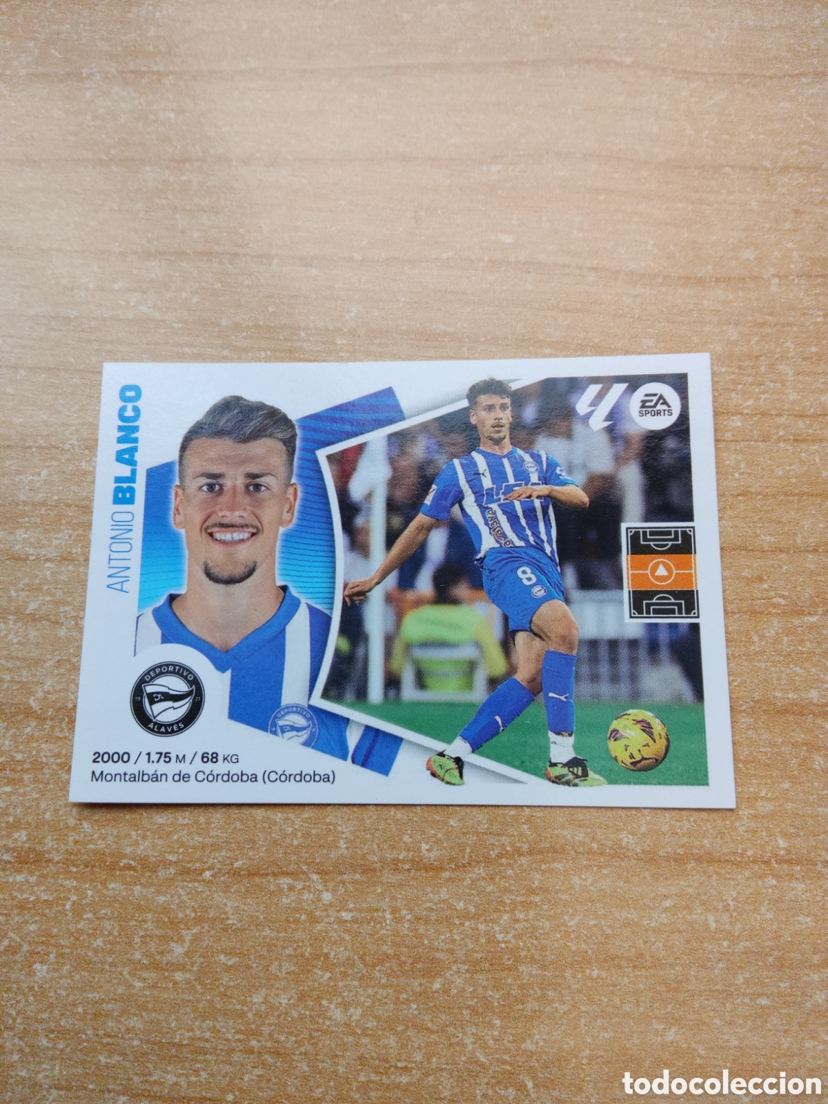 Cromos de f&uacute;tbol: 13 BLANCO ALAVES LIGA ESTE 2024 2025