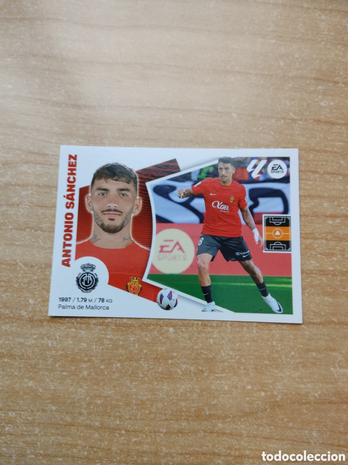 Cromos de f&uacute;tbol: 14 ANTONIO SANCHEZ MALLORCA LIGA ESTE 2024 2025