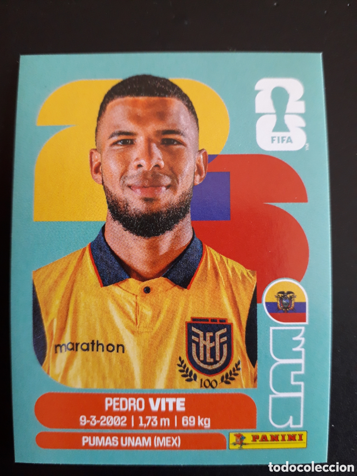 Figurine di Calcio: VITE ECUADOR ECU 12 MUNDIAL F&Uacute;TBOL 2026 FIFA WORLD CUP PANINI SIN PEGAR PEDIDO M&Iacute;NIMO 3&euro;.