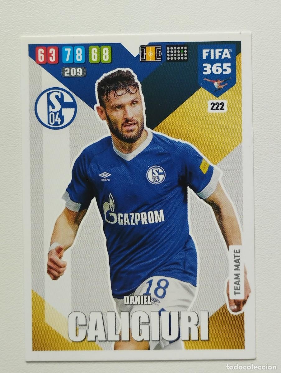 Cromos de f&uacute;tbol: CROMO CARD PANINI ADRENALYN FIFA 365 2019 2020 19 20 SHALKE 04 222 CALIGIURI