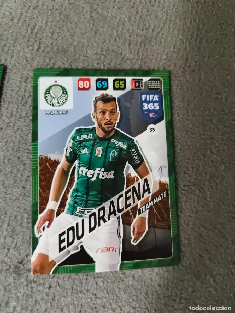 Cromos de f&uacute;tbol: 365 ADRENALYN XL 2018 35 EDU DRACENA PALMEIRAS TEAM MATE FIFA PANINI 17 2017 18 AXL AAP