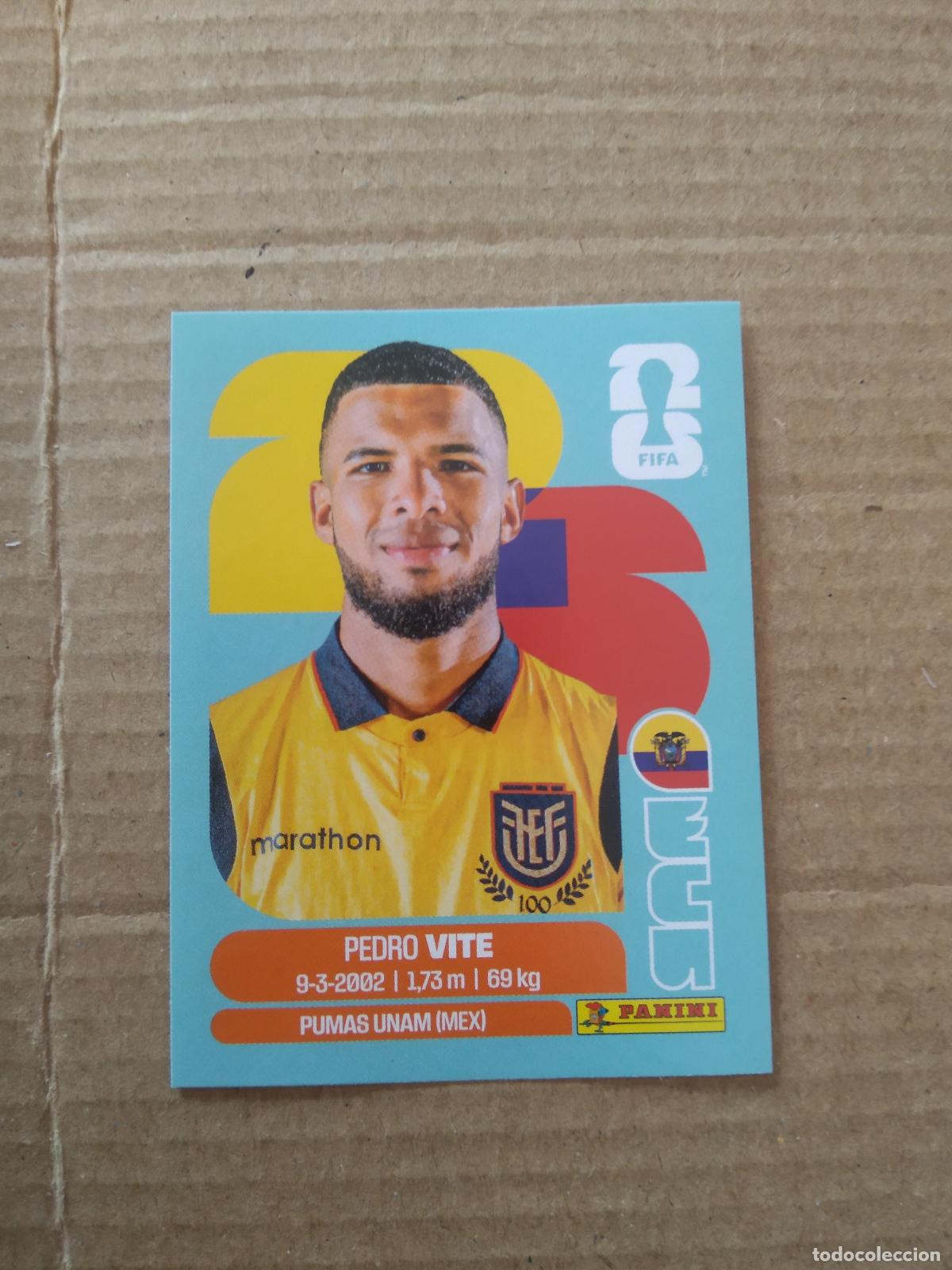 Cromos de f&uacute;tbol: ECU 12 PEDRO VITE ECUADOR CROMO FUTBOL PANINI MUNDIAL 2026 WORLD CUP COPA DEL MUNDO