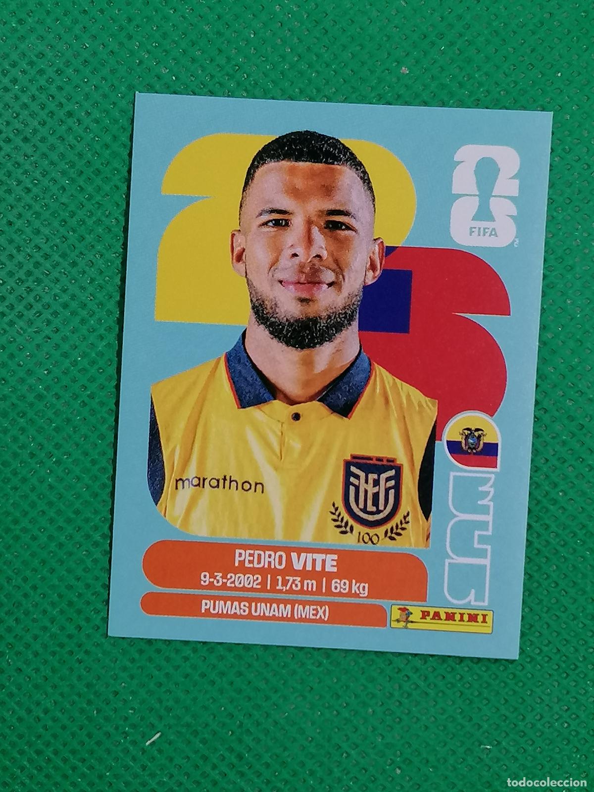 Cromos de f&uacute;tbol: ECU 12 ECU12 PEDRO VITE ECUADOR ⚽ PANINI FIFA MUNDIAL WORLD CUP 26 2026 STICKER ⚽