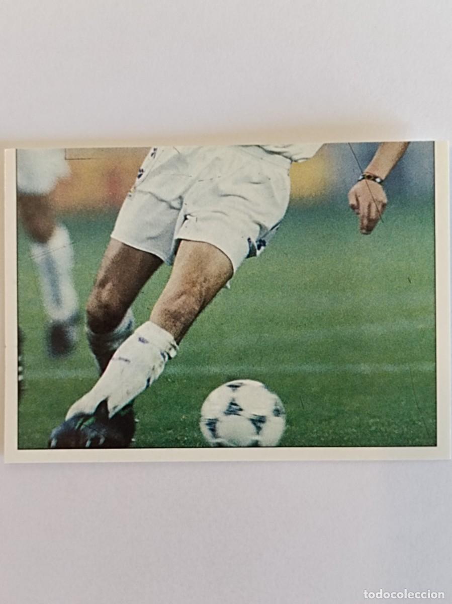 Cartes &agrave; collectionner de Football: #234 AMAVISCA COLECCION REAL MADRID 95/96 PANINI