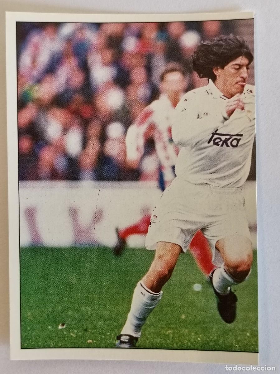 Cromos de f&uacute;tbol: #239 ZAMORANO COLECCION REAL MADRID 95/96 PANINI