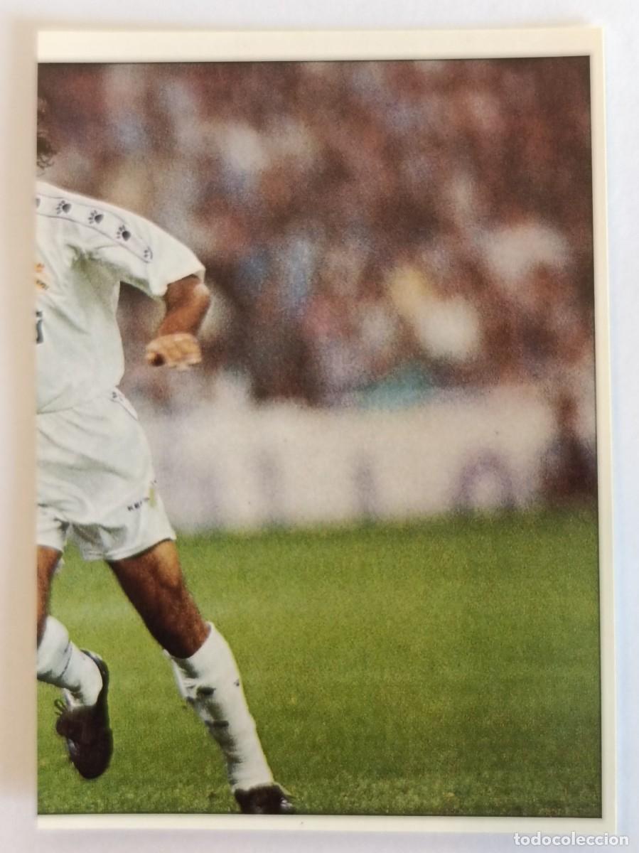 Cromos de f&uacute;tbol: #243 ESNAIDER COLECCION REAL MADRID 95/96 PANINI