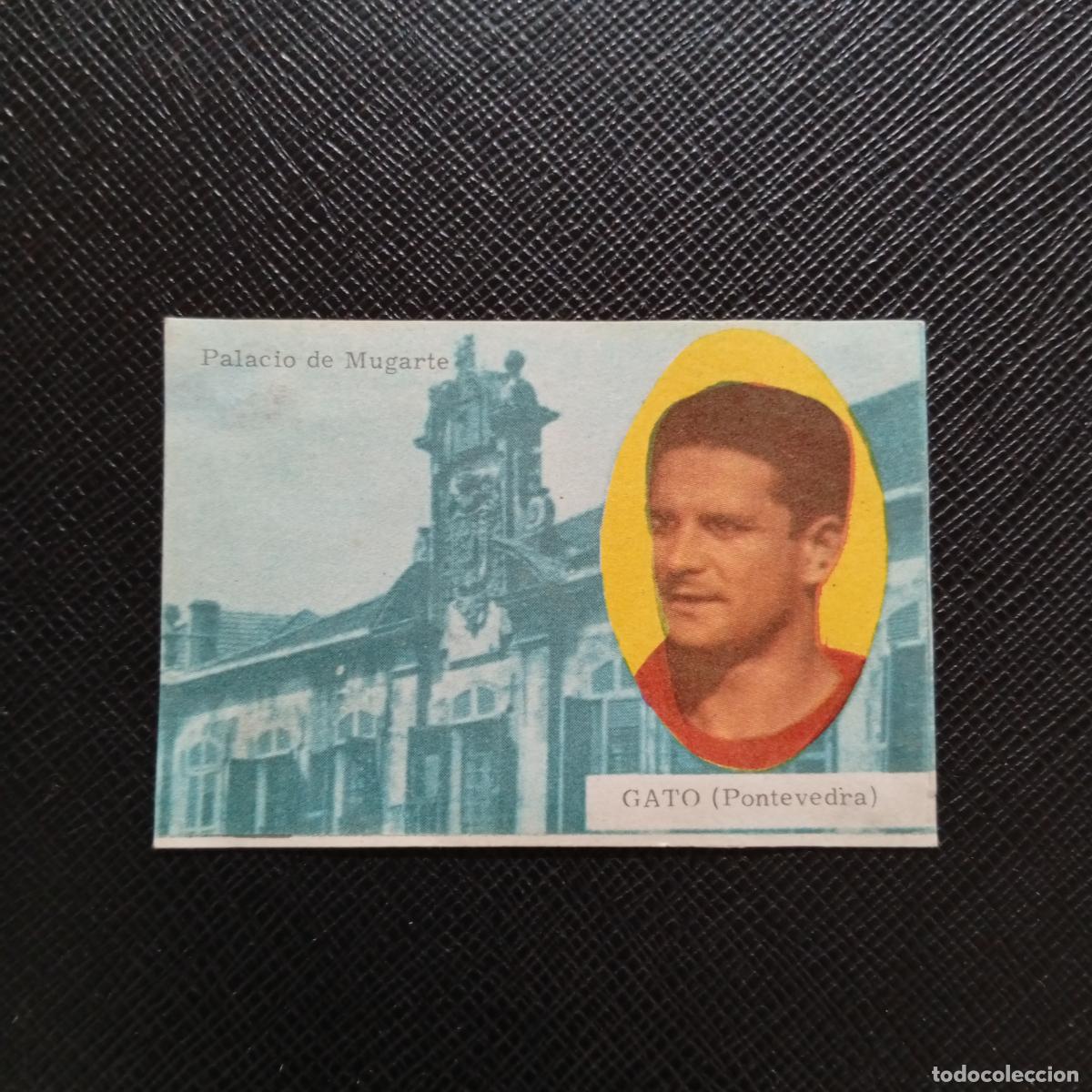 Figurine di Calcio: GATO PONTEVEDRA FHER 1963 1964 CROMO FUTBOL 63 64 LIGA - DESPEGADO - A139 PG298