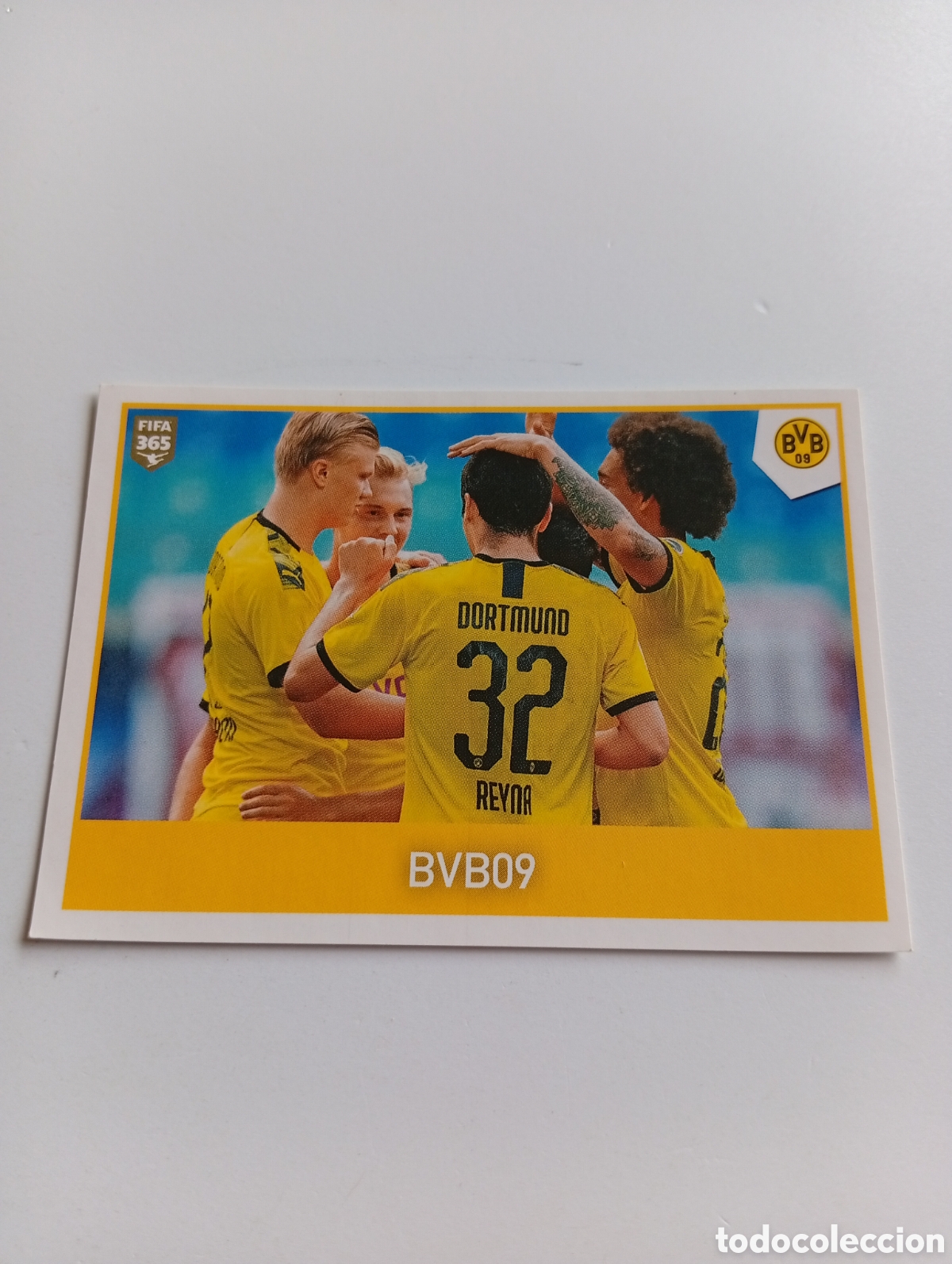 Cromos de f&uacute;tbol: Haaland panini fifa365