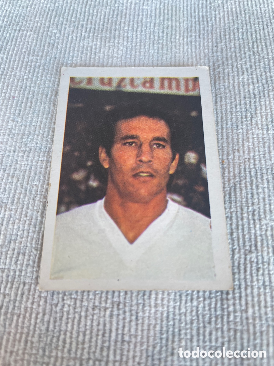 Cromos de f&uacute;tbol: FUTBOL 1980-81 Fher cromo 227 SANJOSE Nuevo