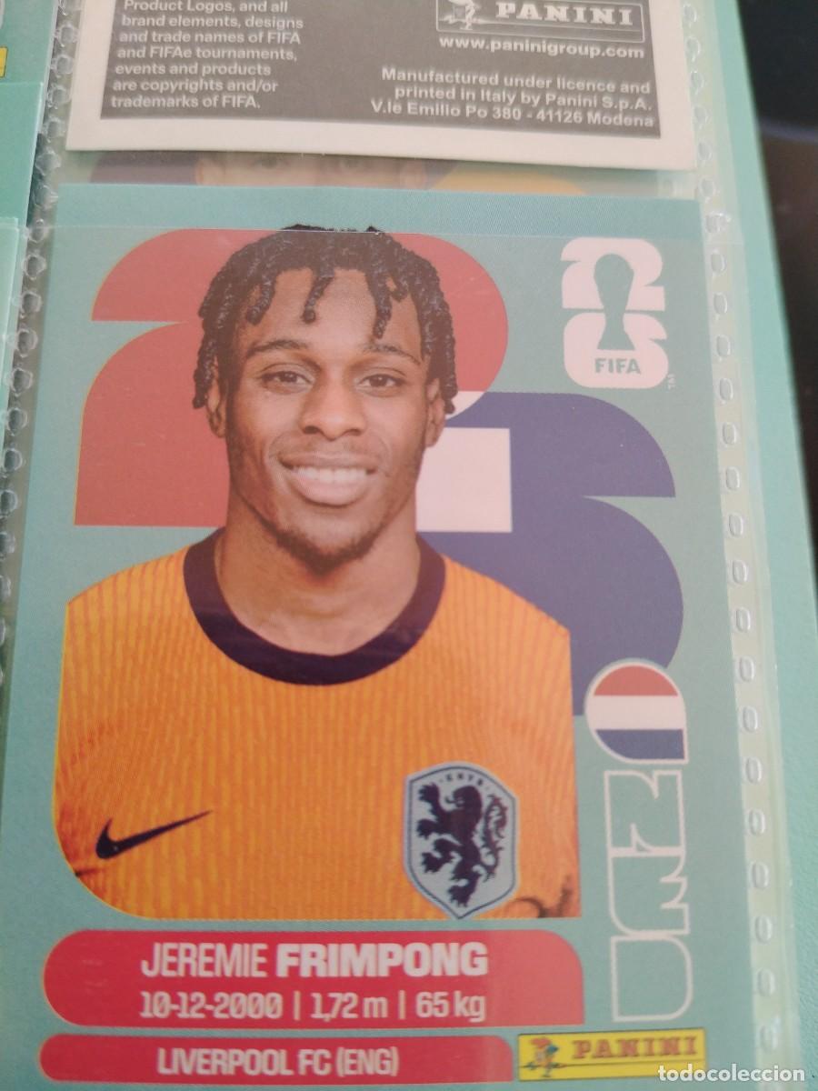 Figurine di Calcio: CROMO MUNDIAL 2026 HOLANDA NED 8