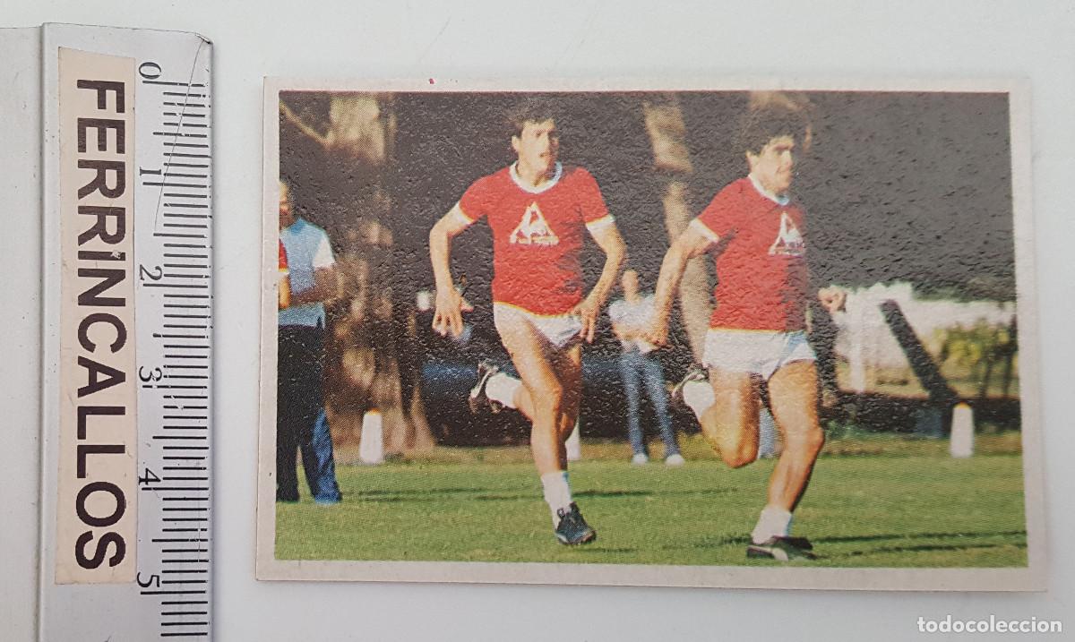 Cromos de f&uacute;tbol: DIEGO ARMANDO MARADONA, MIS ENTRENAMIENTOS 23, CROMO ESPORT SA, LIGA 1&ordf; DIVISI&Oacute;N 1984 85, SIN PEGAR