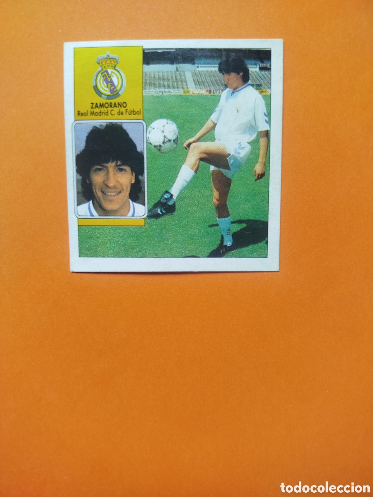 Fu&szlig;ball-Sticker: FICHAJE 12 ZAMORANO REAL MADRID LIGA ESTE 92-93 DESPEGADO
