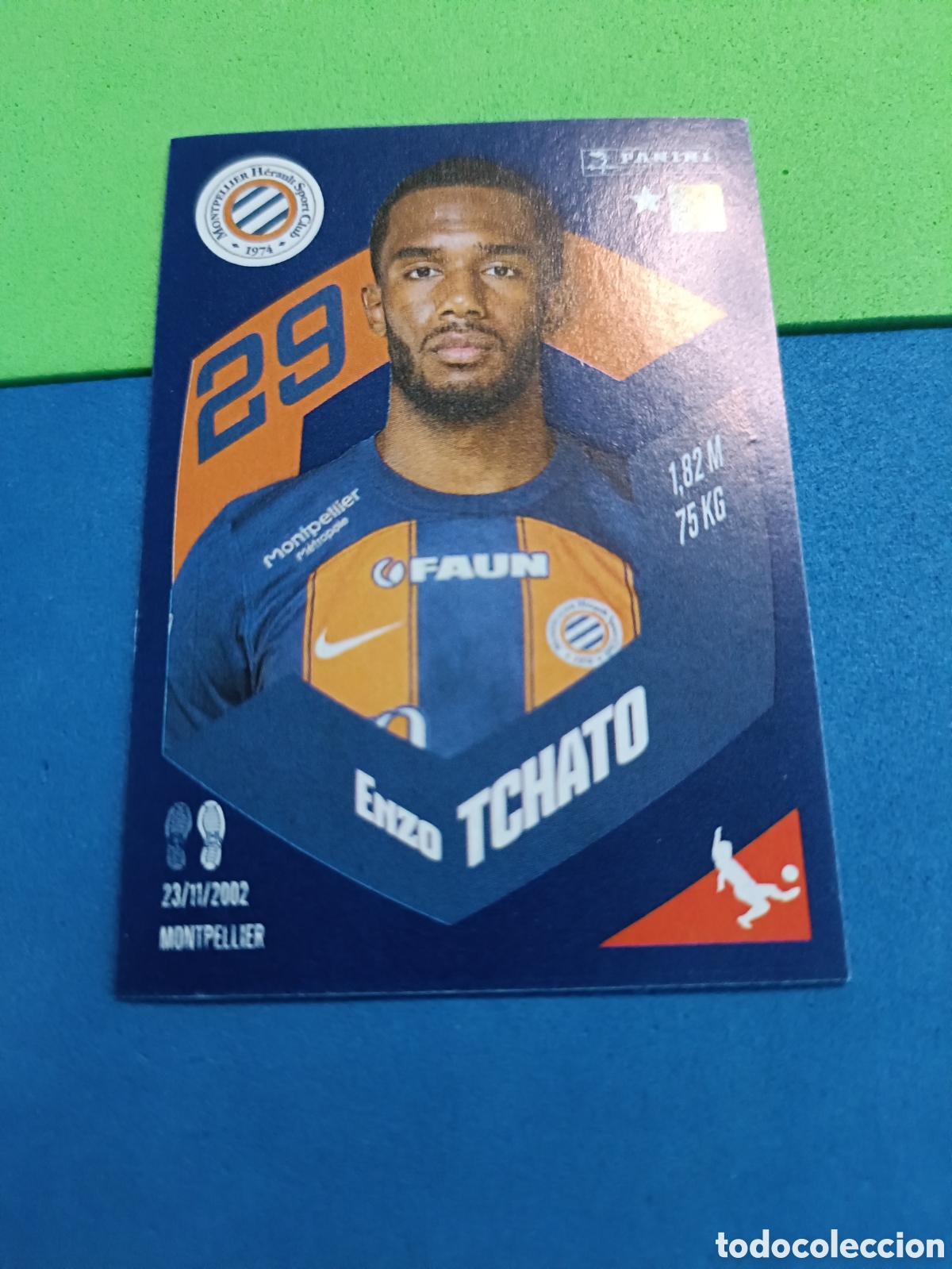 Cromos de f&uacute;tbol: Panini Foot France stickers 2023 2024 23 24 - 265 Tchato