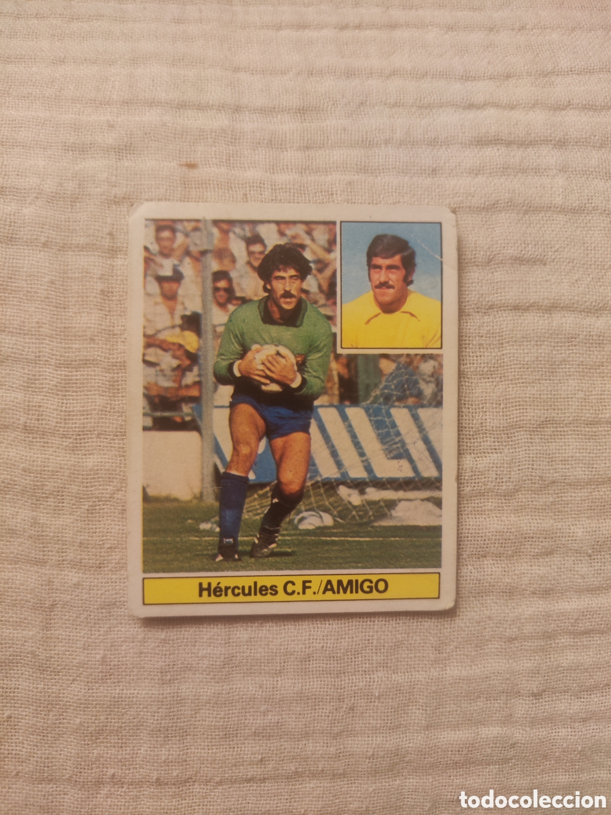 Cromos de f&uacute;tbol: Este 81 82 sin pegar H&eacute;rcules Amigo baja