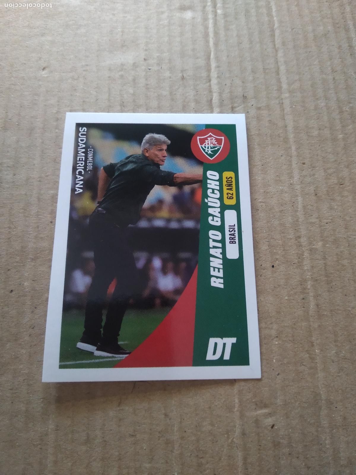 Figurine di Calcio: 201 RENATO GAUCHO FLUMINENSE CROMO FUTBOL CONMEBOL SUDAMERICANA LA GRAN CONQUISTA