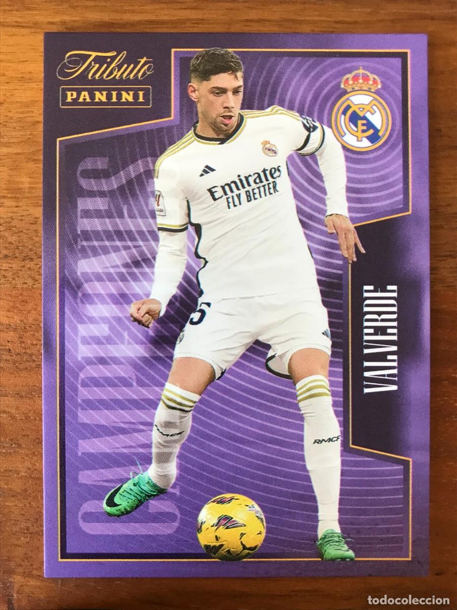 Cromos de f&uacute;tbol: VALVERDE - 19 - PANINI TRIBUTO REAL MADRID 2023 2024 23 24