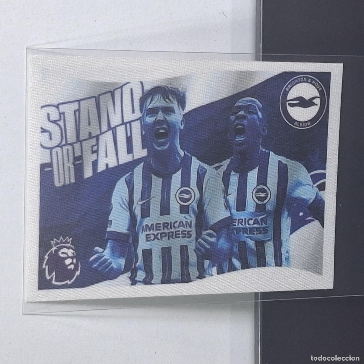 Cromos de f&uacute;tbol: B56 144 FLAG BANDERA BRIGHTON & HOVE ALBION STICKER PANINI PREMIER LEAGUE 24 25 2024 2025