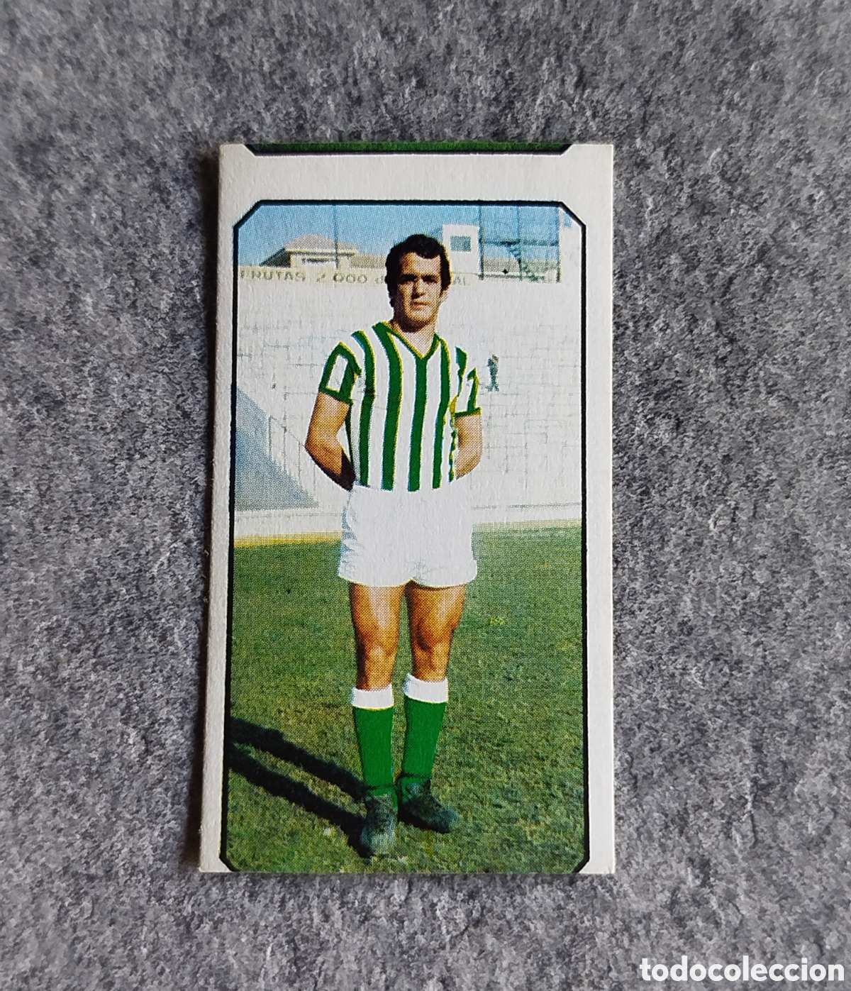 Cromos de f&uacute;tbol: SIN PEGAR COLOCA DEL POZO BETIS 77 78 1977 1978 EDICIONES ESTE CROMO NUNCA PEGADO DOBLE
