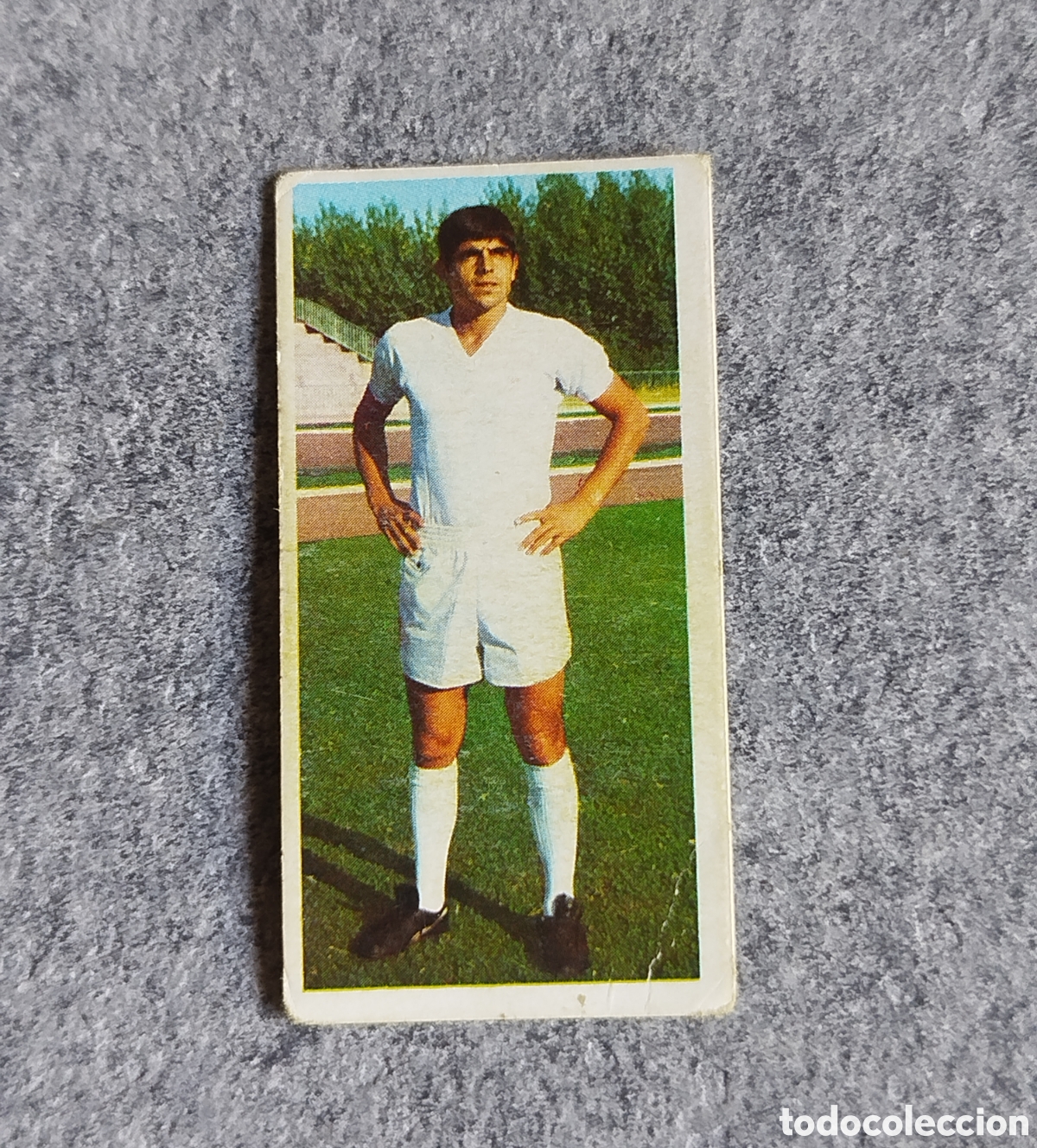 Cartes &agrave; collectionner de Football: SIN PEGAR MORGADO REAL MADRID 75 76 1975 1976 EDICIONES ESTE CROMO NUNCA PEGADO