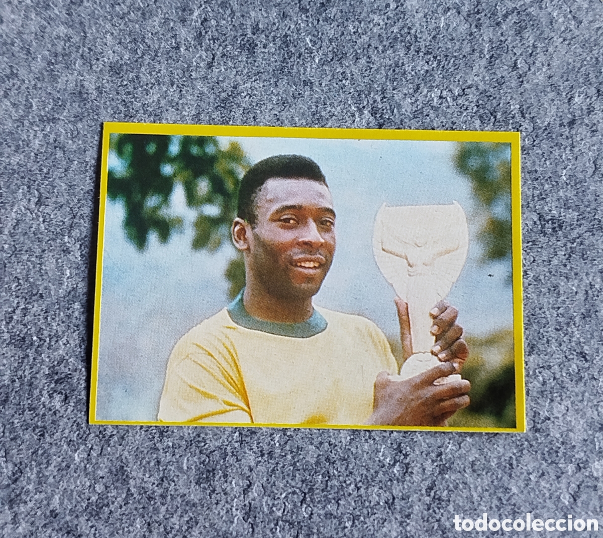 Figurine di Calcio: PELE DANONE FUTBOL EN ACCI&Oacute;N MUNDIAL ESPA&Ntilde;A 82 CROMO NUEVO SIN PEGAR NUNCA PEGADO # 76 BRASIL