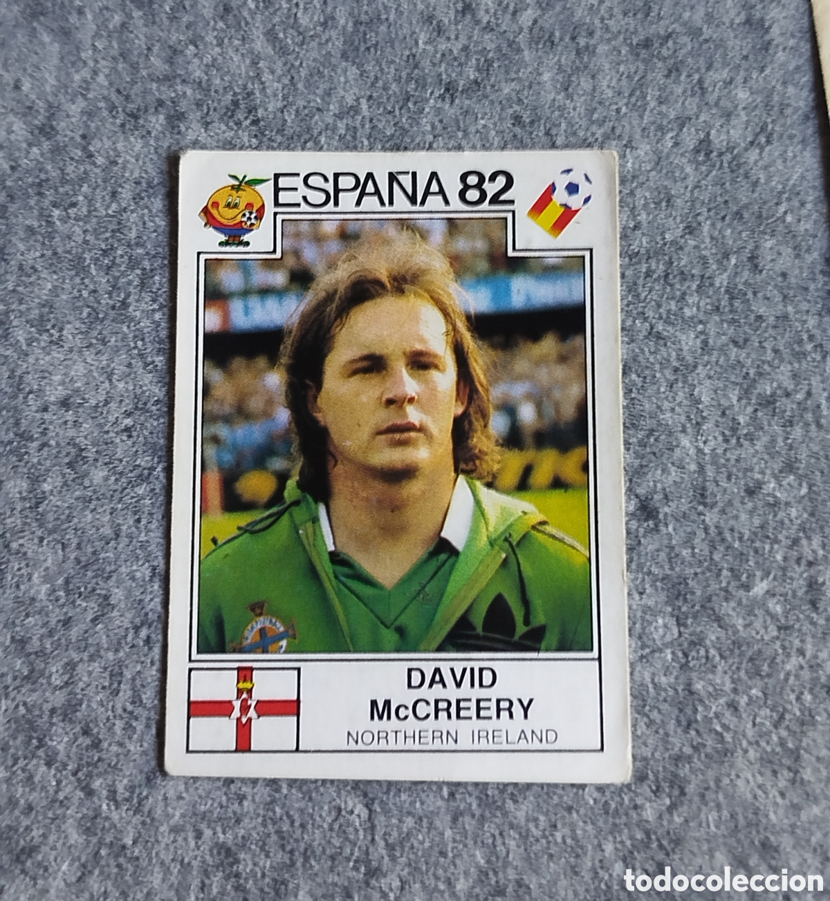 Football Stickers: McCREERY IRLANDA DEL NORTE 340 ESPA&Ntilde;A 82 MUNDIAL NUEVO SIN PEGAR NUNCA PEGADO PANINI CROMO STICKER