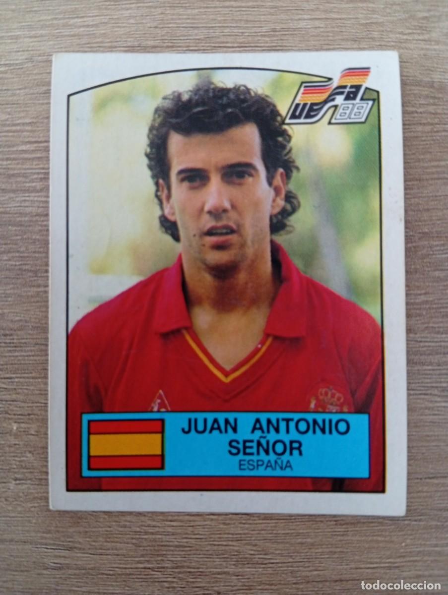 Cromos de f&uacute;tbol: JUAN ANTONIO SE&Ntilde;OR 142 ESPA&Ntilde;A EUROCOPA EURO 1988 88 ALEMANIA NUNCA PEGADO SIN PEGAR