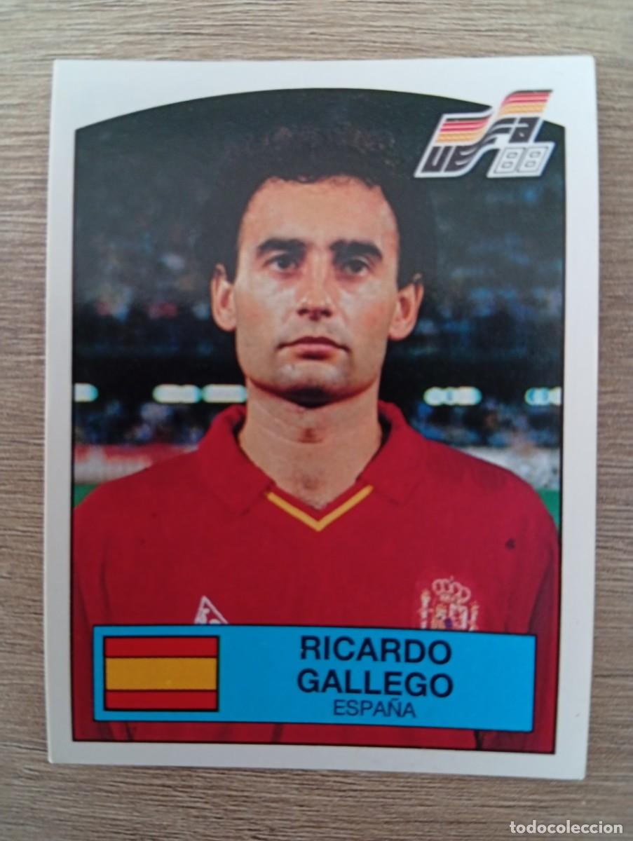 Cromos de f&uacute;tbol: RICARDO GALLEGO 143 ESPA&Ntilde;A EUROCOPA EURO 1988 88 ALEMANIA NUNCA PEGADO SIN PEGAR