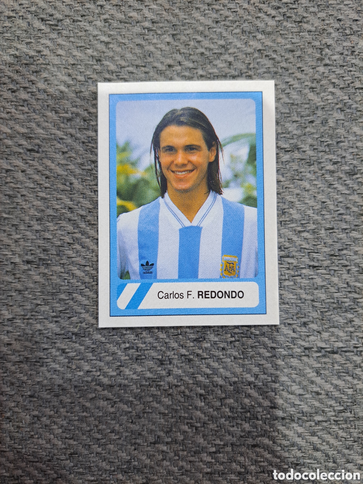 Cromos de Futebol: Redondo. Argentina. Ediciones Estadio Mundial 94 USA