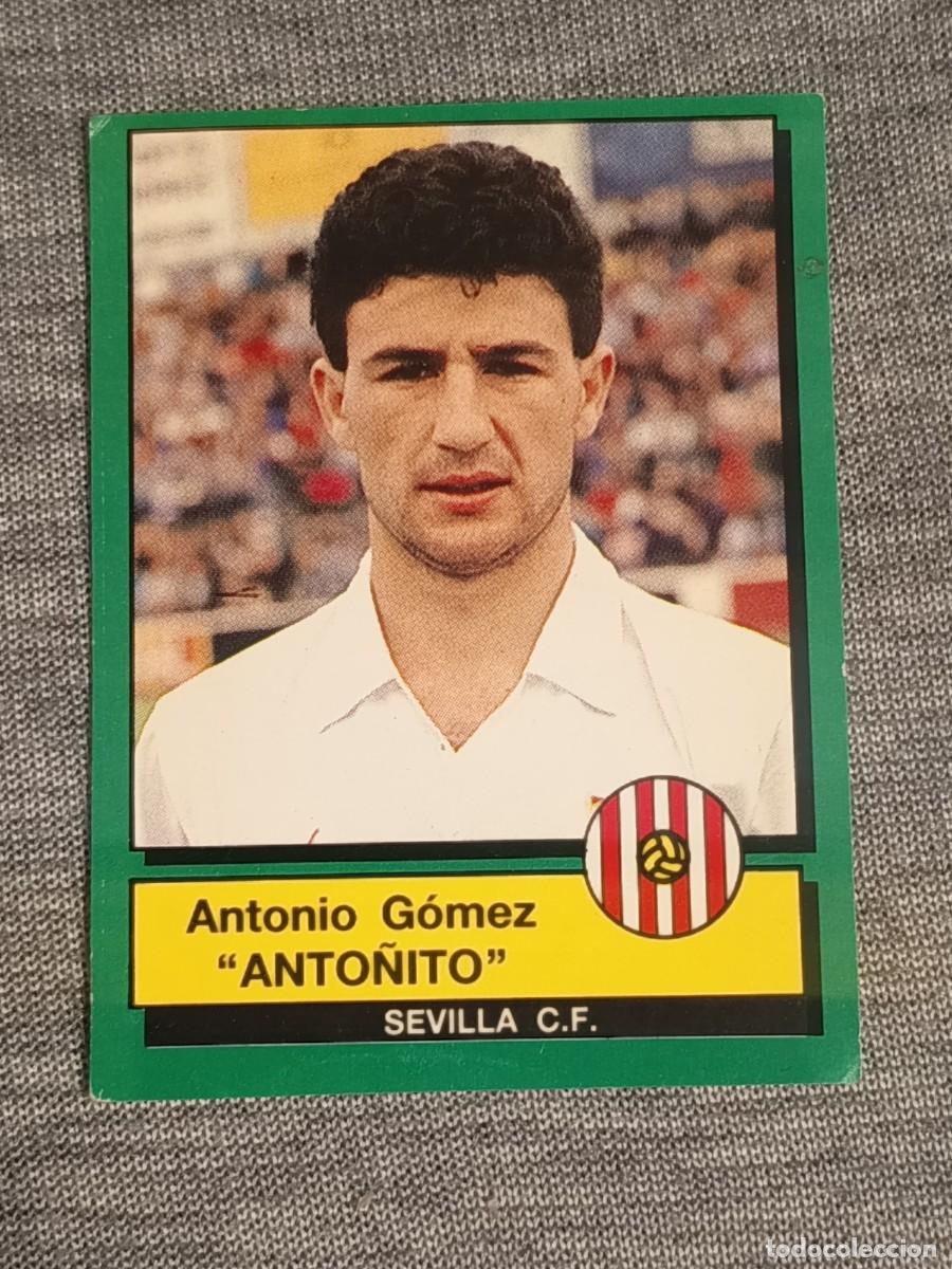 Football Stickers: F&uacute;tbol 90 panini ANTO&Ntilde;ITO N&deg;247 SEVILLA nunca pegado