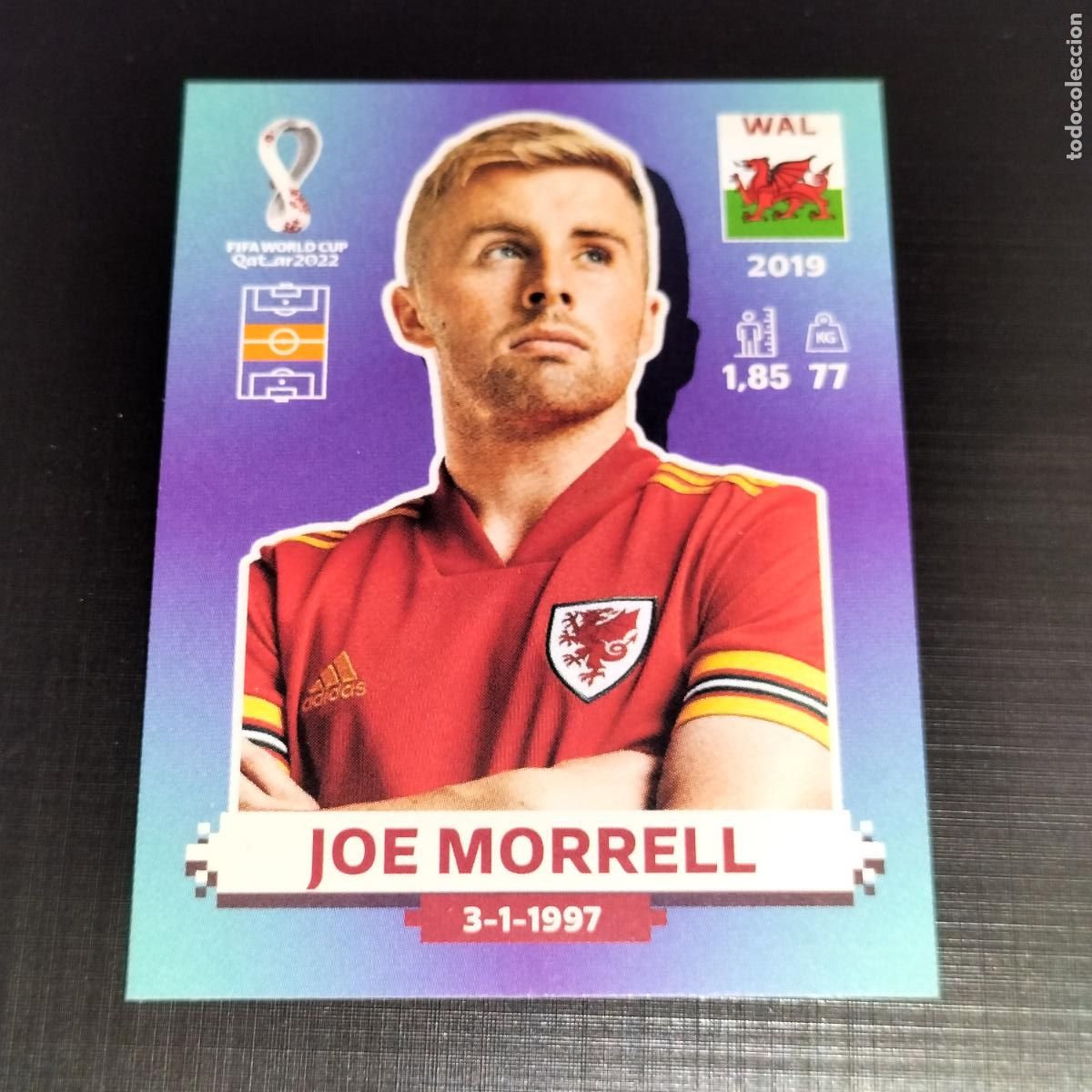 Cartes &agrave; collectionner de Football: WAL 13 JOE MORRELL GALES CROMOS STICKER MUNDIAL QTAR 22 2022 FIFA WORLD CUP PANINI