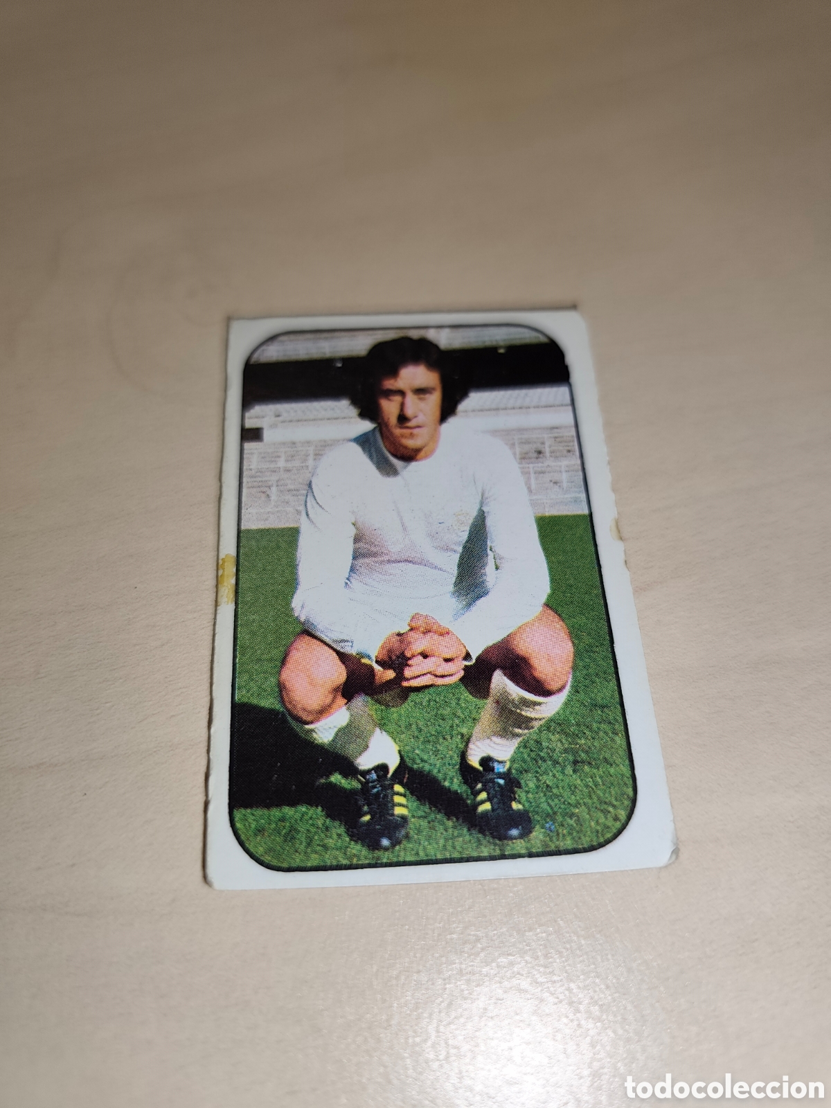 Cromos de f&uacute;tbol: Cromo Vicente del Bosque - Real Madrid - Liga 76/77 Ediciones Este