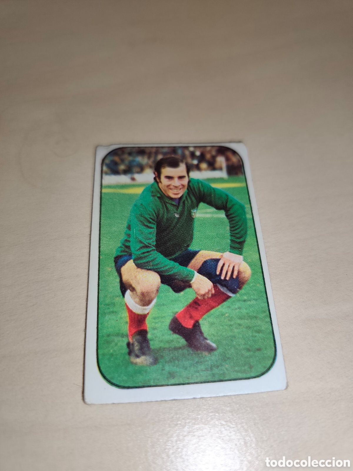 Football Stickers: Cromo Miguel Reina - Atl&eacute;tico de Madrid - Liga 76/77 Ediciones Este