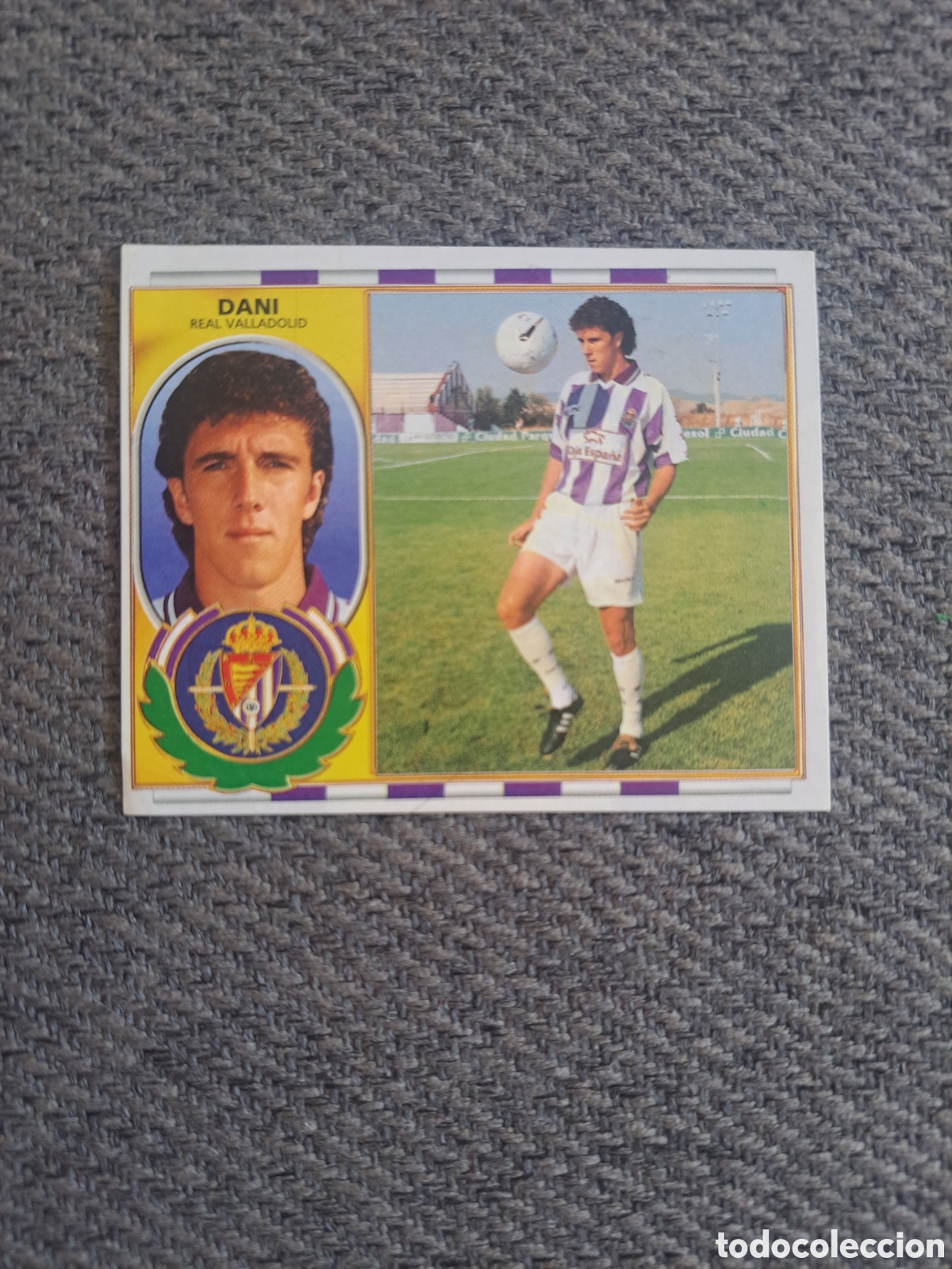 Cromos de f&uacute;tbol: Dani (Fichaje N&deg;8 BIS) Valladolid. Liga Este 96-97